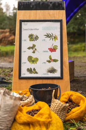 Acorn Collection and Seed Identifier