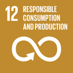 SDG 12 Responsible Consumption and Production