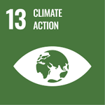 SDG 13 Climate Action