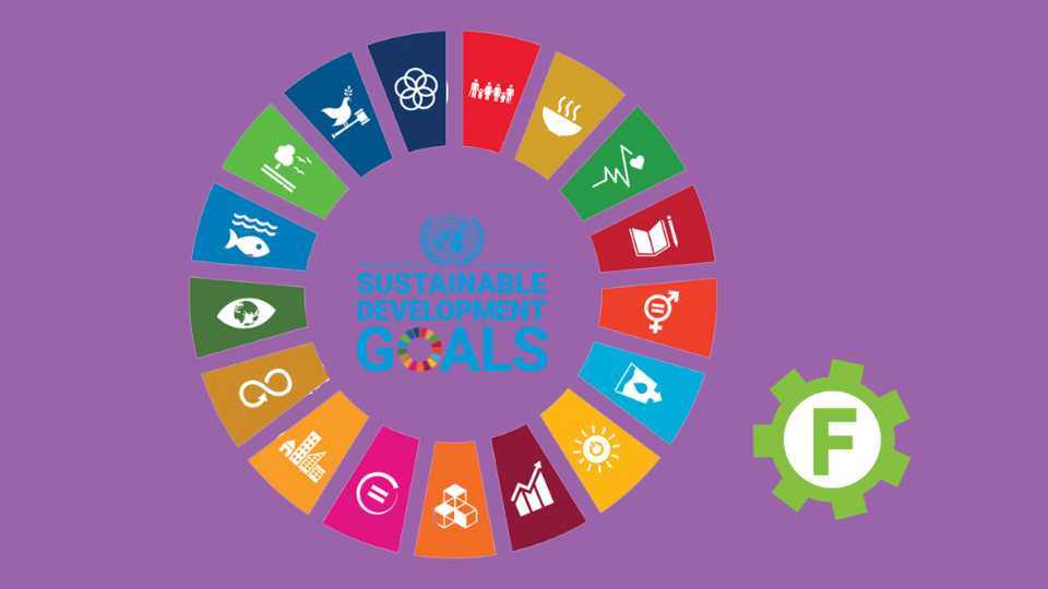 Understanding the Sustainable Development Goals (SDGs) and Their Importance for Guaranteed Irish Members