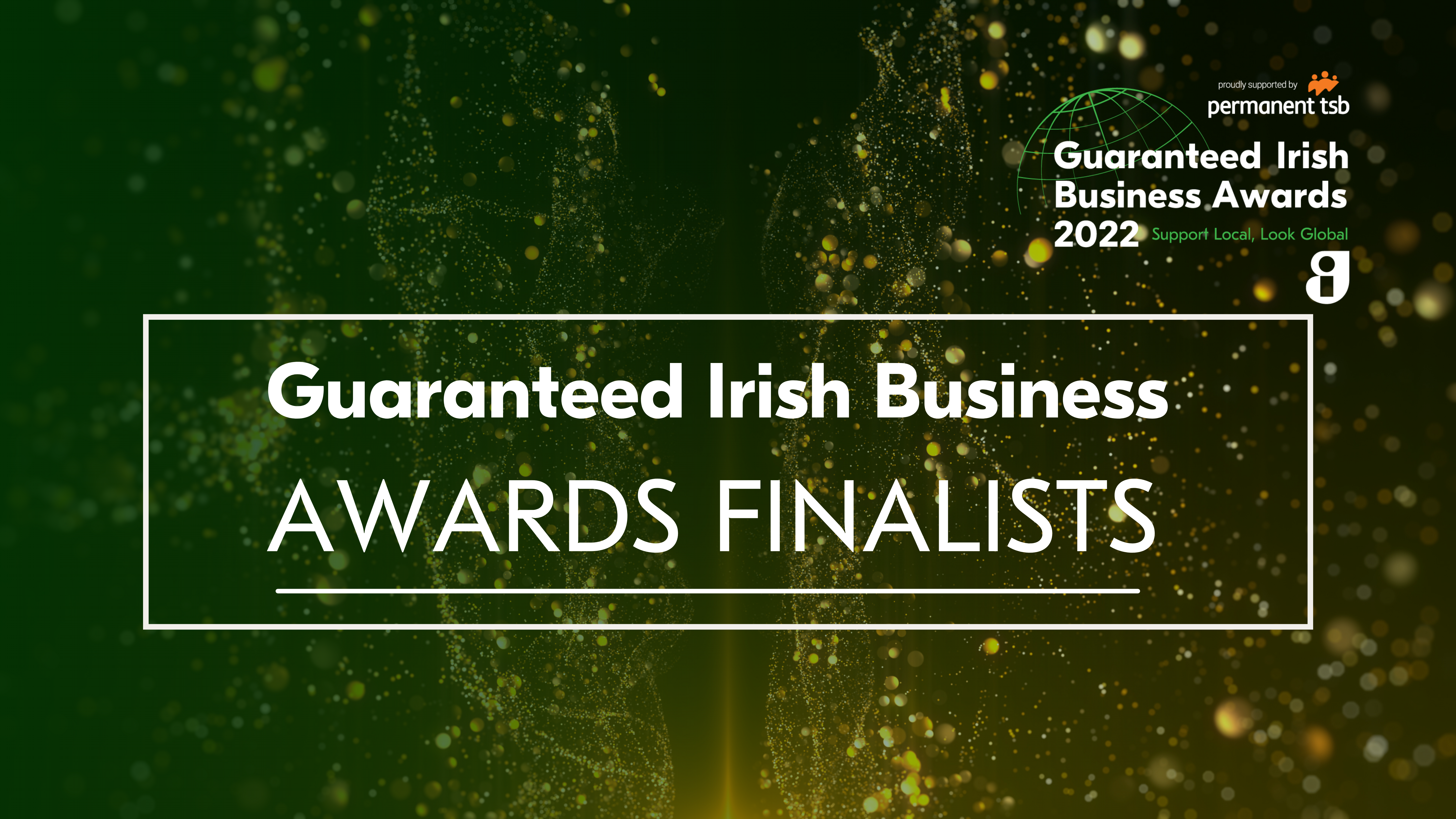 Guaranteed Irish Business Awards Finalists