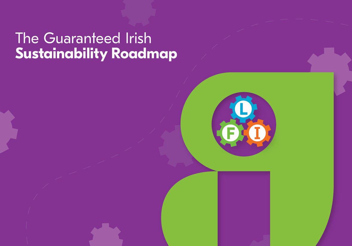 The Guaranteed Irish Sustainability Roadmap