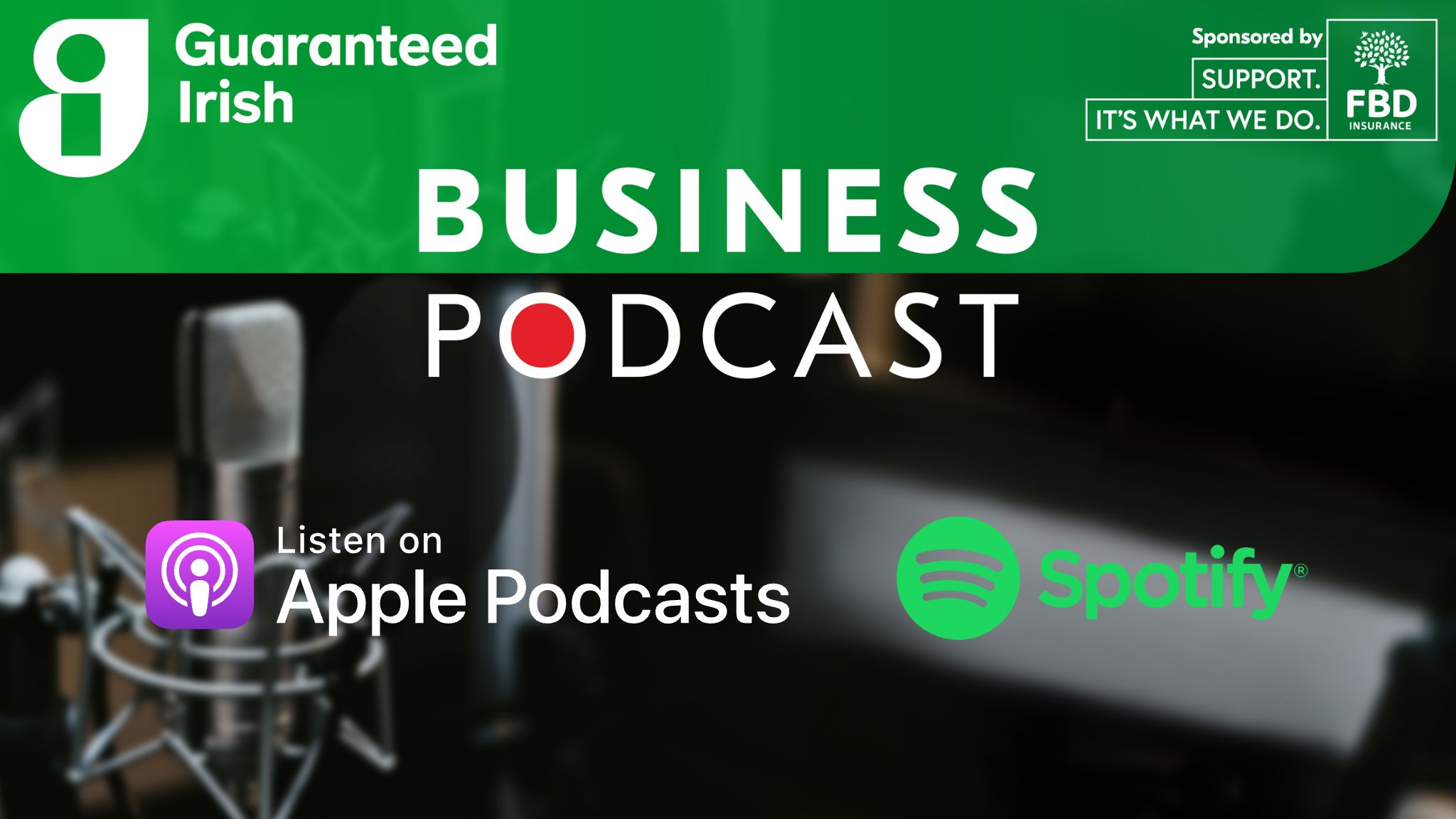 Guaranteed Irish Business Podcast Champion