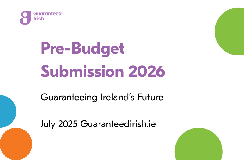Pre-Budget Submission 2026 Guaranteeing Ireland’s Future