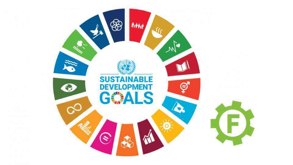 Understanding the Sustainable Development Goals (SDGs) and Their Importance for Guaranteed Irish Members